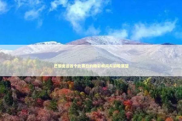 巴黎奥运首个比赛日的精彩瞬间与前瞻展望