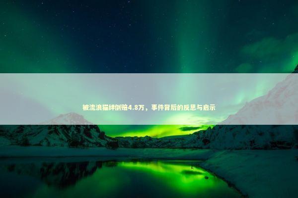 被流浪猫绊倒赔4.8万，事件背后的反思与启示