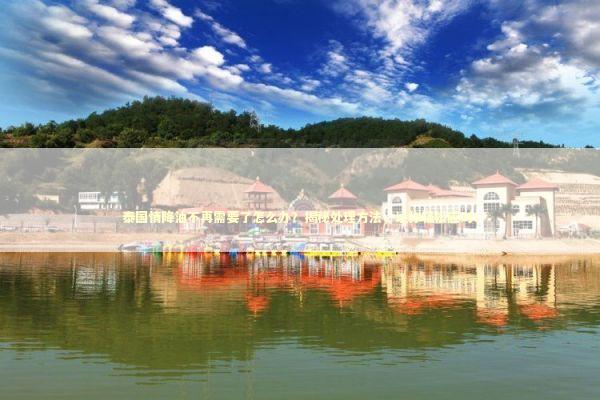 泰国情降油不再需要了怎么办？揭秘处理方法，让你轻松应对！