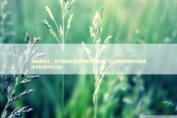 凄美墓地下，血咒情降能否点燃爱恋的奇迹？——揭秘泰国神秘爱情法术的成功率之谜