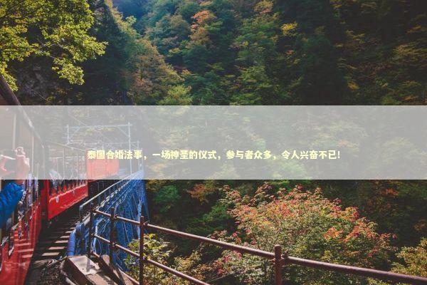 泰国合婚法事，一场神圣的仪式，参与者众多，令人兴奋不已！