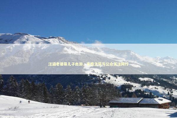 汪涵老婆带儿子出游，家庭之乐与公众关注同行