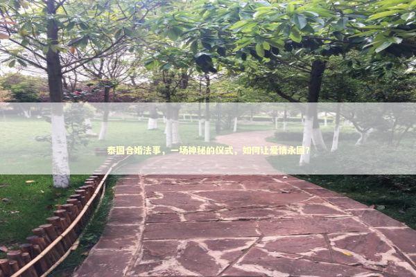 泰国合婚法事，一场神秘的仪式，如何让爱情永固？