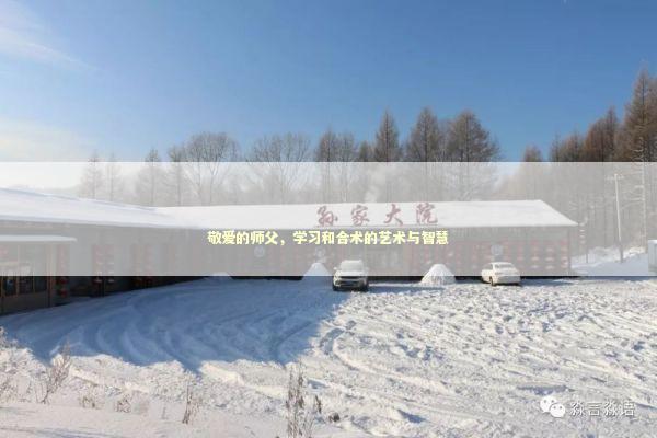 敬爱的师父，学习和合术的艺术与智慧