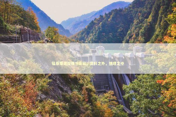 福原爱混双爆冷出局，意料之外，情理之中
