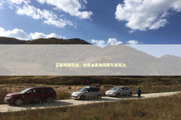 正新鸡排风波，食用油更换周期引发关注
