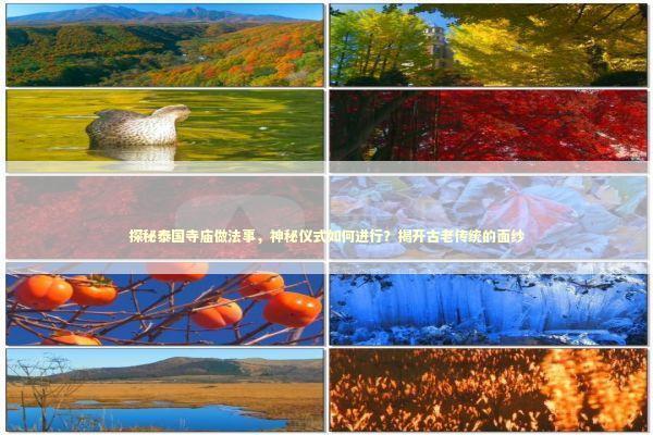 探秘泰国寺庙做法事，神秘仪式如何进行？揭开古老传统的面纱
