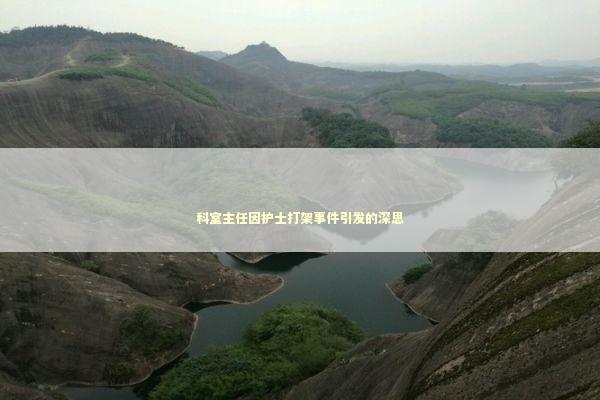 科室主任因护士打架事件引发的深思