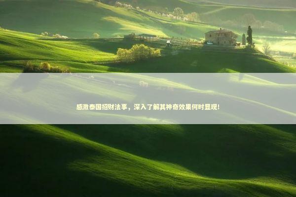 感激泰国招财法事，深入了解其神奇效果何时显现！