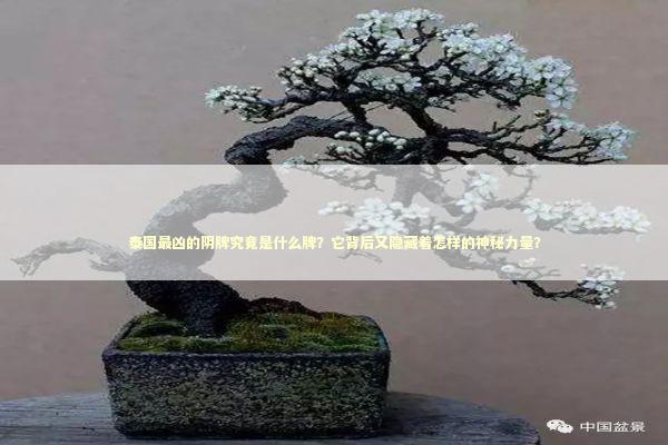 泰国最凶的阴牌究竟是什么牌？它背后又隐藏着怎样的神秘力量？