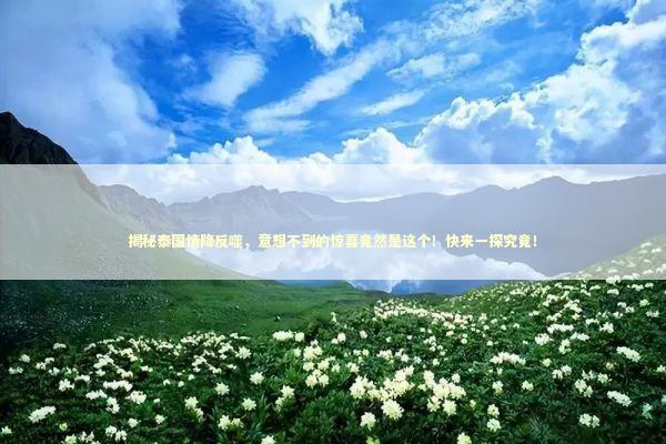 揭秘泰国情降反噬，意想不到的惊喜竟然是这个！快来一探究竟！