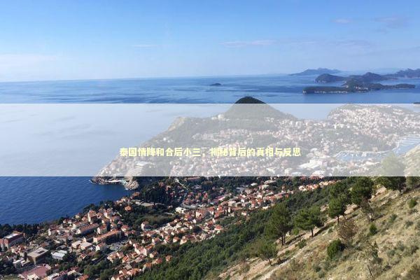 泰国情降和合后小三，揭秘背后的真相与反思