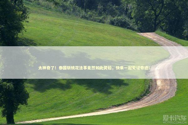 太神奇了！泰国斩桃花法事竟然如此灵验，快来一起见证奇迹！