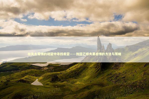 在失去爱情的绝望中寻找希望——挽回已婚夫妻感情的方法与策略