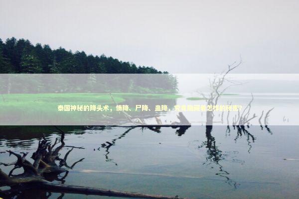 泰国神秘的降头术，情降、尸降、蛊降，究竟隐藏着怎样的秘密？