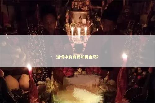 逆境中的真爱如何重燃？