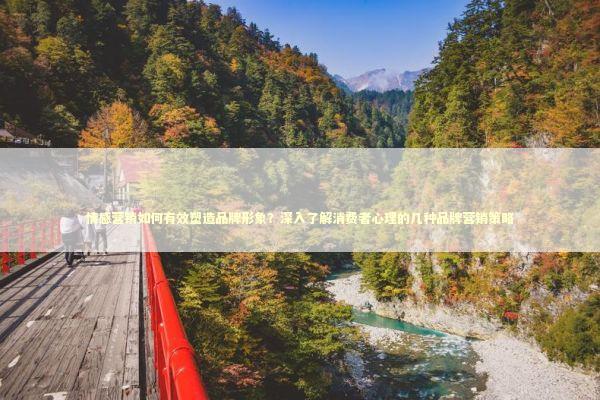 情感营销如何有效塑造品牌形象？深入了解消费者心理的几种品牌营销策略