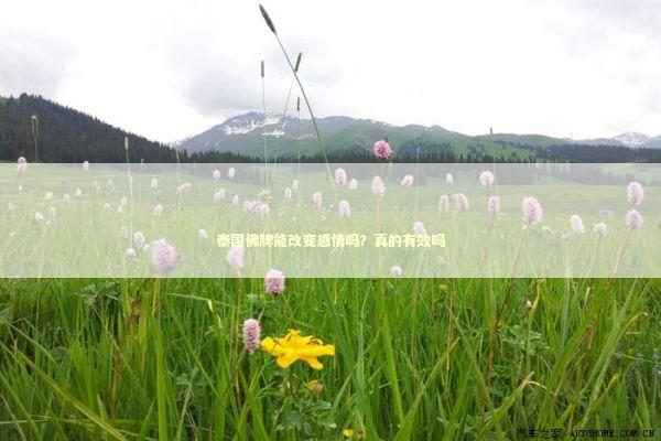 泰国佛牌能改变感情吗？真的有效吗