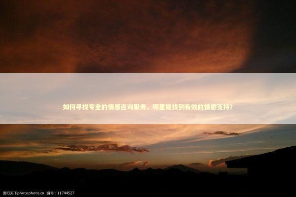 如何寻找专业的情感咨询服务，哪里能找到有效的情感支持？
