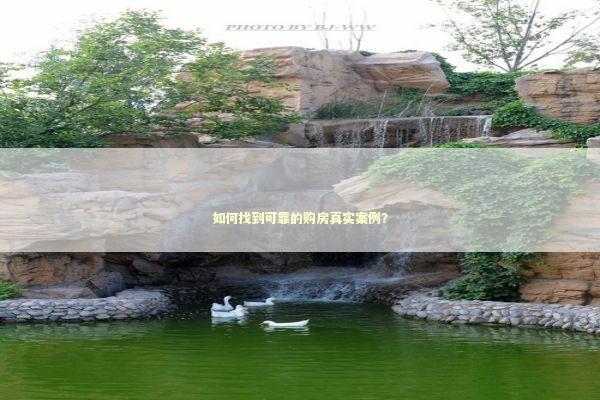 如何找到可靠的购房真实案例？