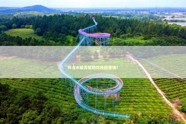 和合术能否帮助你挽回爱情？
