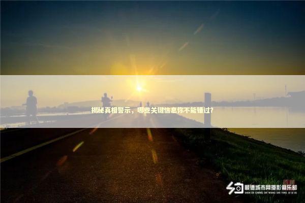揭秘真相警示，哪些关键信息你不能错过？