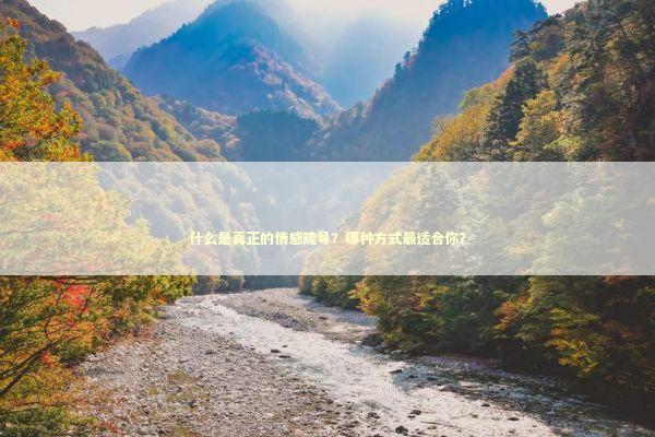 什么是真正的情感疏导？哪种方式最适合你？