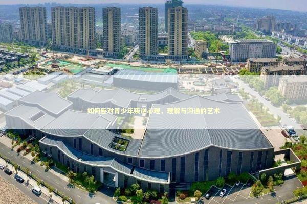 如何应对青少年叛逆心理，理解与沟通的艺术