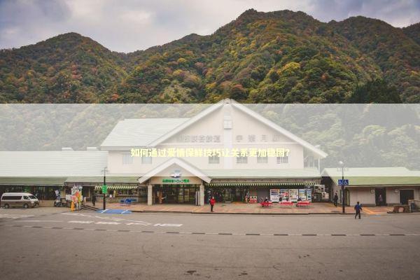 如何通过爱情保鲜技巧让关系更加稳固？