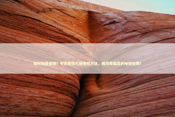 如何挽回感情？专家教你几招有效方法，成功率超高的秘密在哪？