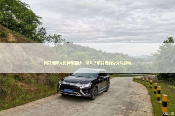 揭开情降文化神秘面纱，深入了解背后的含义与影响