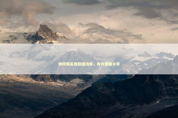 如何提高挽回成功率，有效策略分享
