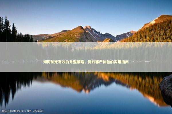 如何制定有效的升温策略，提升客户体验的实用指南