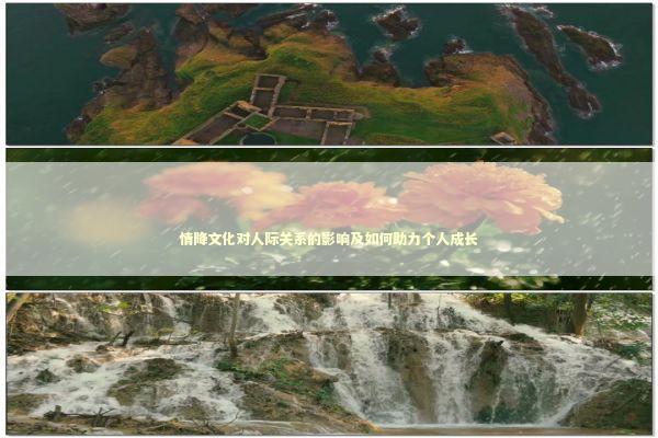 情降文化对人际关系的影响及如何助力个人成长