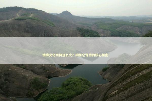 情降文化为何这么火？揭秘它背后的核心秘密！
