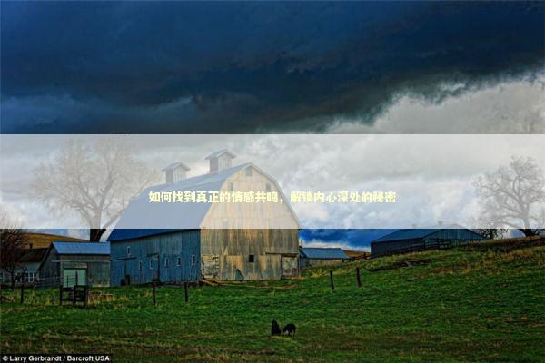 如何找到真正的情感共鸣，解锁内心深处的秘密 感情姻缘的佛牌有几种