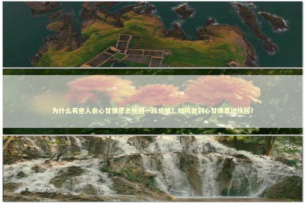 为什么有些人会心甘情愿去挽回一段感情？如何做到心甘情愿地挽回？