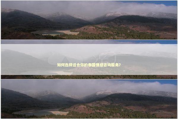 如何选择适合你的泰国情感咨询服务？