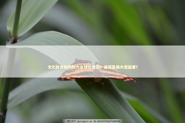 文化融合如何助力全球化进程？谁将是最大受益者？