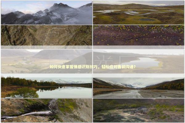 如何快速掌握情感识别技巧，轻松应对售前沟通？