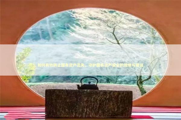 如何有效防止国有资产流失，守护国有资产安全的措施与建议