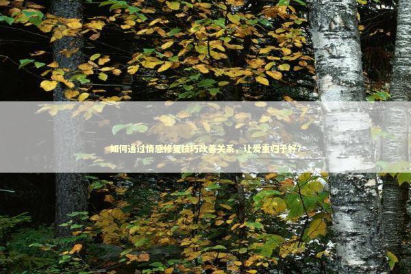 如何通过情感修复技巧改善关系，让爱重归于好？