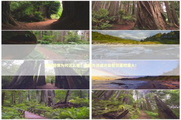 挽回感情为何这么难？这些方法或许能帮你重燃爱火！