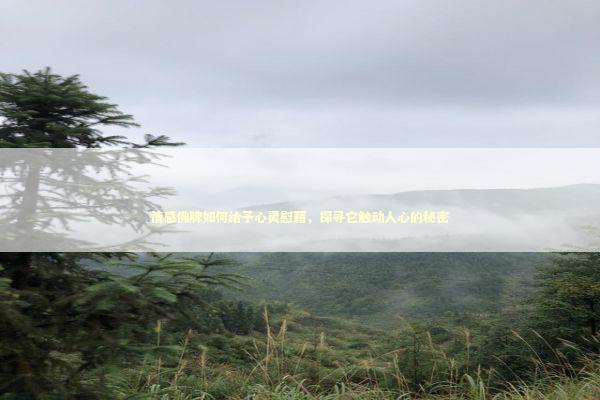情感佛牌如何给予心灵慰藉，探寻它触动人心的秘密