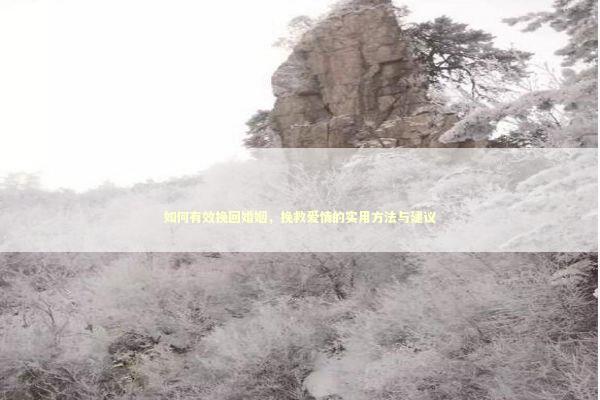 如何有效挽回婚姻，挽救爱情的实用方法与建议