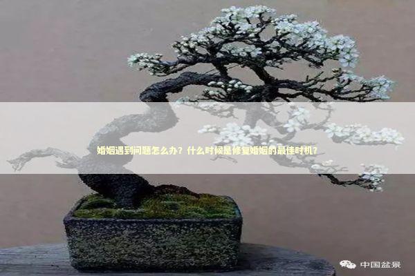 婚姻遇到问题怎么办？什么时候是修复婚姻的最佳时机？