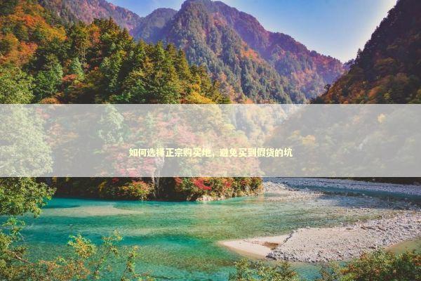 如何选择正宗购买地，避免买到假货的坑