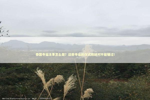 泰国寺庙法事怎么做?这些寺庙的仪式你绝对不能错过! 泰国寺庙法事怎么做?这些寺庙的仪式你绝对不能错过! 感情姻缘的佛牌有几种