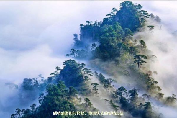 感情破裂如何修复，挽回失去的爱情方法